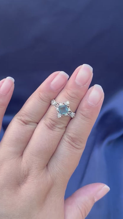 The Heart of a Hero, Himmel-Inspired Ring